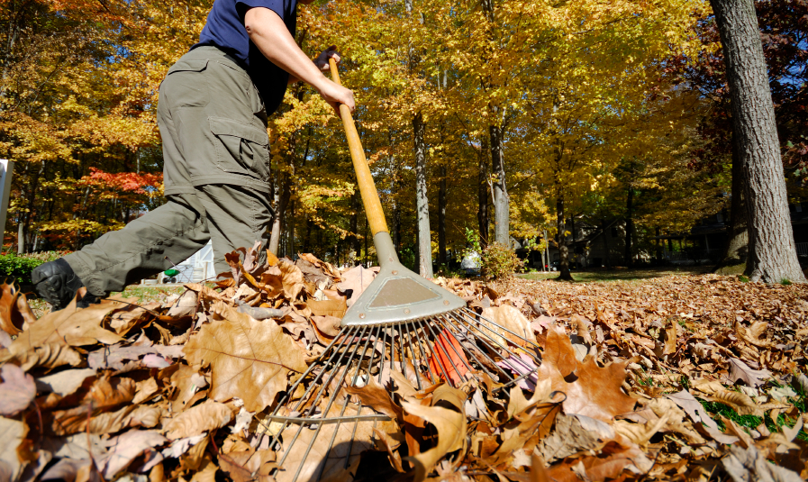 Steps to Prepare Your Lawn for Fall